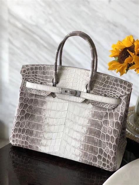 hermes birkin himalayan crocodile